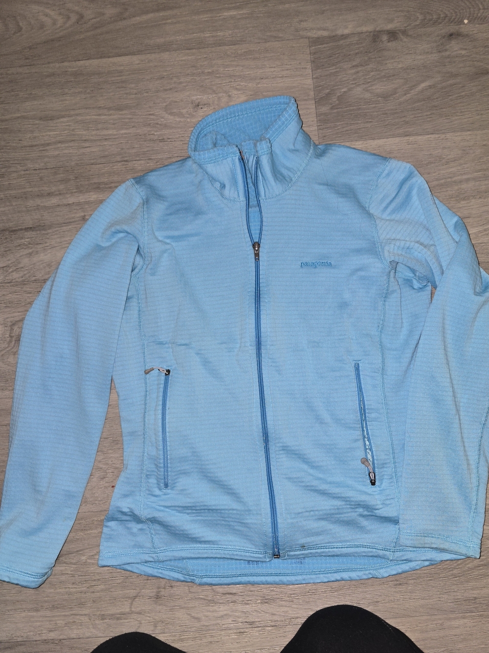 Patagonia Women's Sky Blue Full-Zip